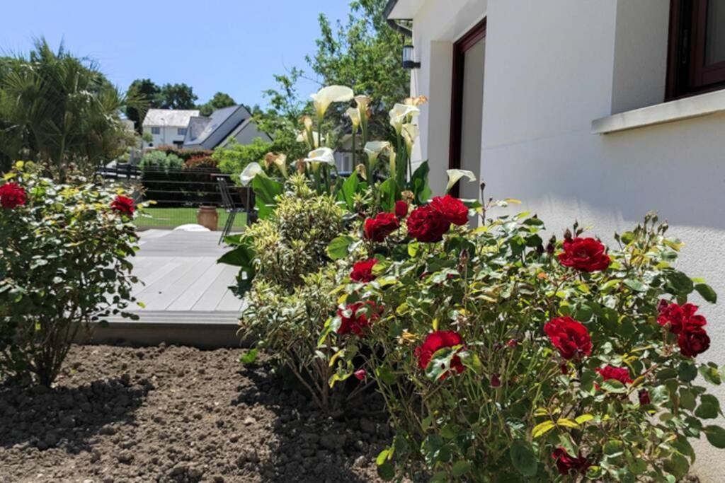 ✪ Sur La Route Des Plages - Maison Pour 8 Pers. ✪ Auray Bagian luar foto